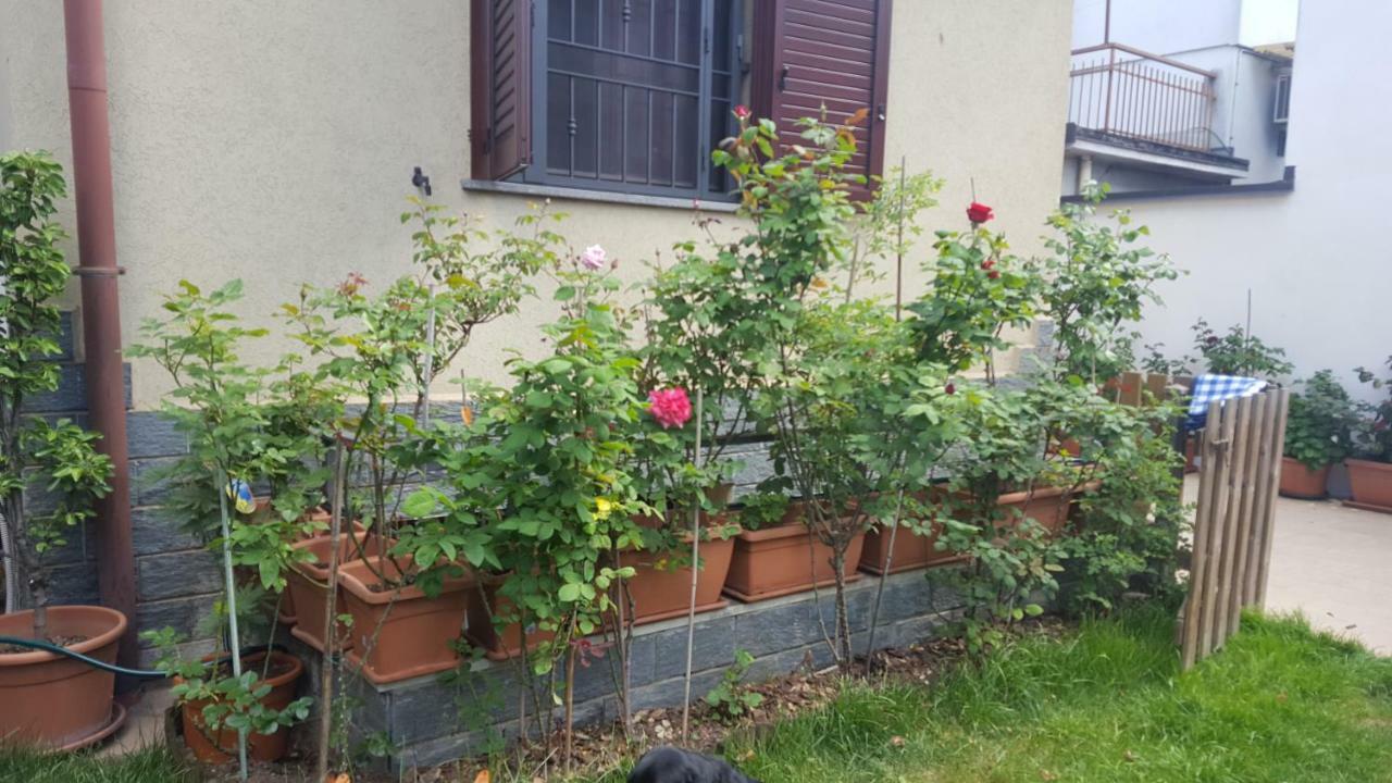 Monteceneri 9 B&B 로 외부 사진